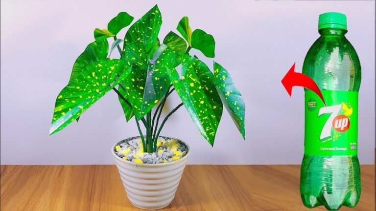 En transformant des bouteilles en déco, votre intérieur brillera comme jamais…