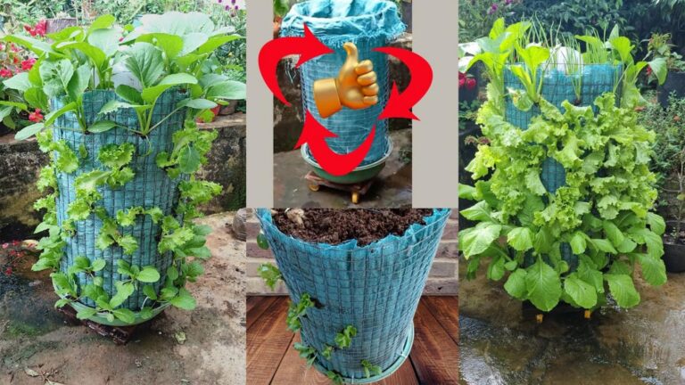 Cette astuce simple transforme vos déchets en légumes luxuriants…