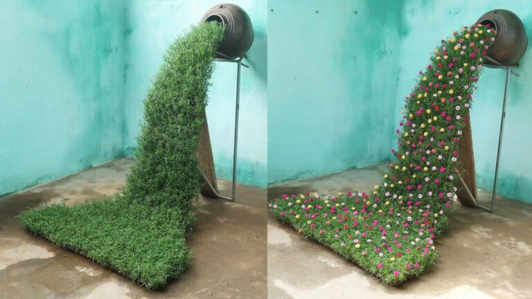 Cette astuce inattendue transforme votre jardin en une magnifique cascade de fleurs…