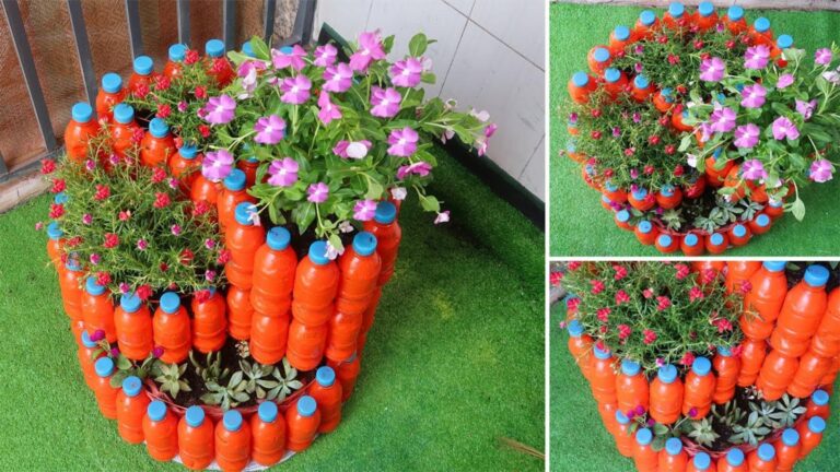 Cette méthode géniale transforme des bouteilles en plastique en un jardin spiralé coloré…