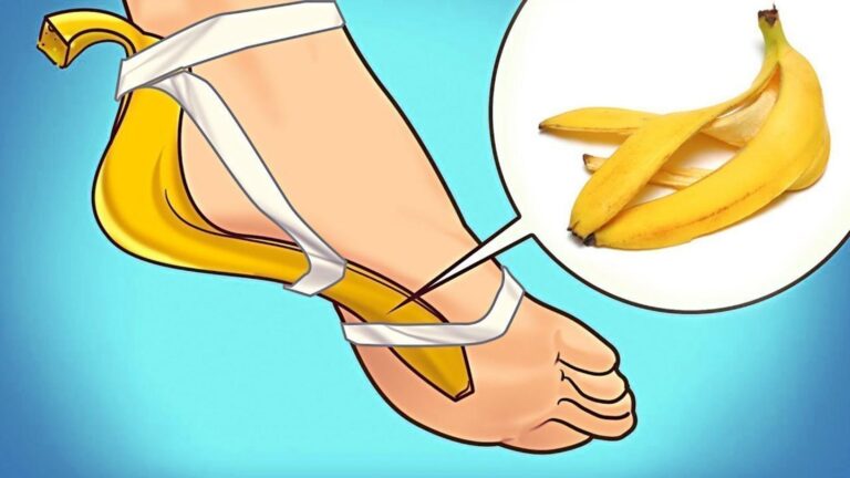 Cette méthode surprenante transforme vos déchets de cuisine en un jardin florissant…