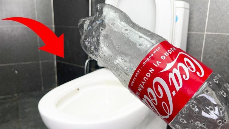 Cette simple technique transforme vos problèmes de toilettes en solutions rapides…