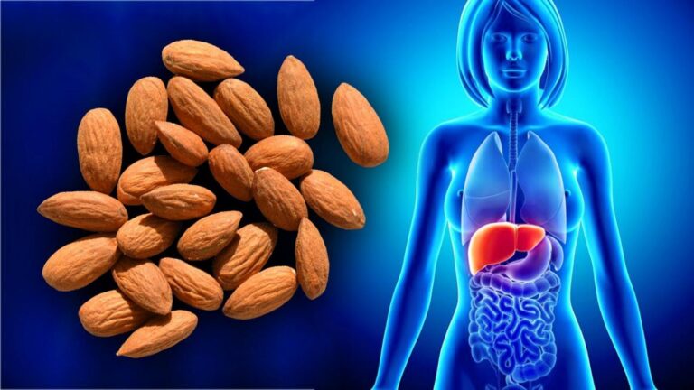 Une vieille astuce pour transformer votre santé avec seulement 35g d&rsquo;amandes chaque jour…