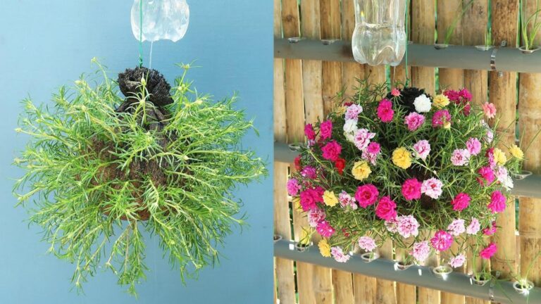 Cette astuce simple transforme vos bouteilles en arrosage automatique…