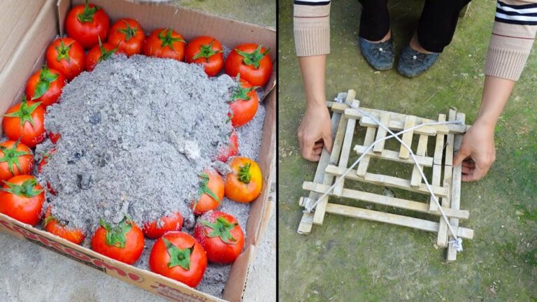 Cette astuce simple transforme votre jardin tout en épargnant un maximum…