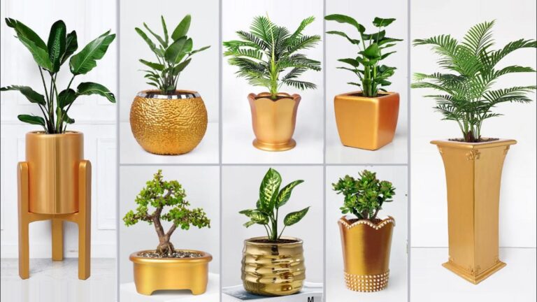 Cette méthode simple transforme votre ciment en un vase éclatant…