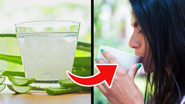 Une vieille astuce pour profiter des bienfaits de l&rsquo;Aloe Vera tous les matins…
