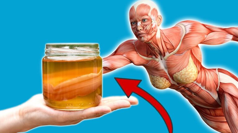 5 raisons de boire du Kombucha chaque jour pour booster ta santé !