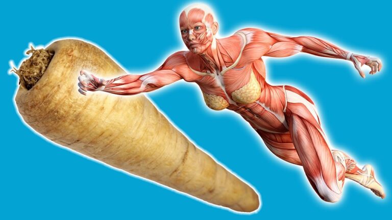 Découvrez 5 bienfaits surprenants de manger des pastinacas chaque jour !