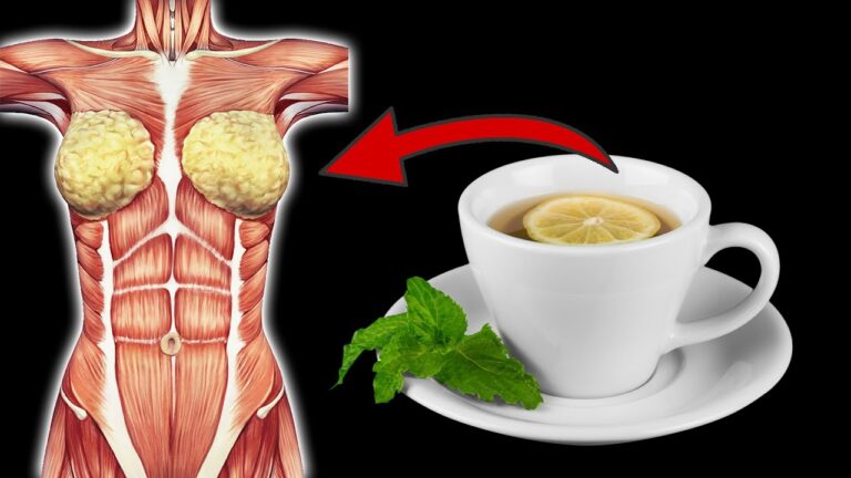 Découvrez 7 bienfaits surprenants du fenouil pour votre santé quotidienne ! 🌱