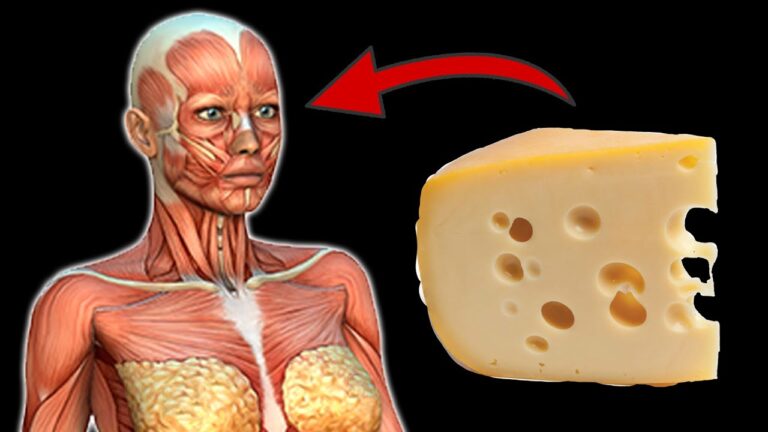 Découvrez les 5 incroyables bienfaits à manger du fromage chaque jour !