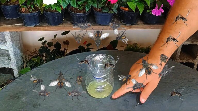 10 astuces surprenantes pour éliminer les insectes chez vous facilement !