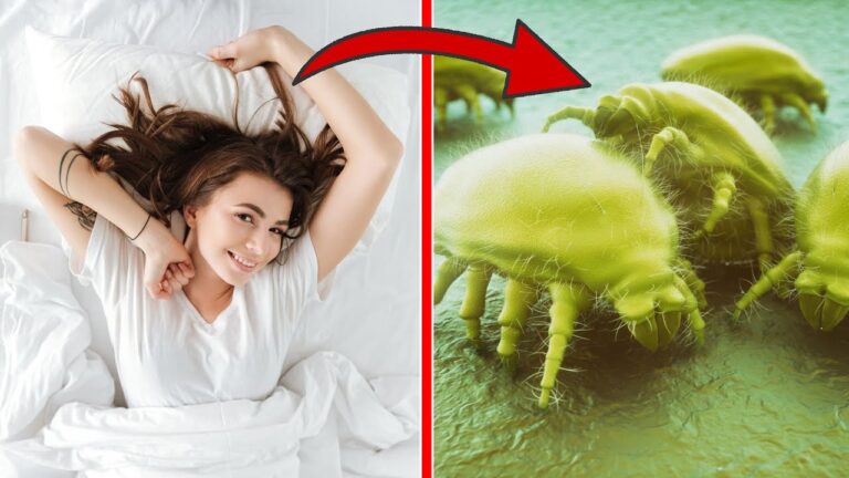 Ne fais pas ton lit le matin : 5 raisons surprenantes à découvrir !