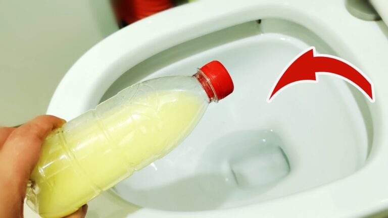 Transformez votre toilette : 5 astuces avec un liquide étonnant pour la nettoyer !