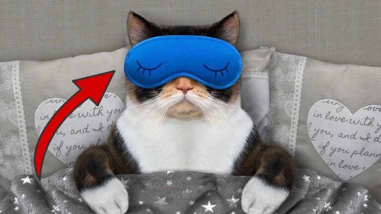 9 choses surprenantes qui se passent dans ton corps pendant le sommeil !