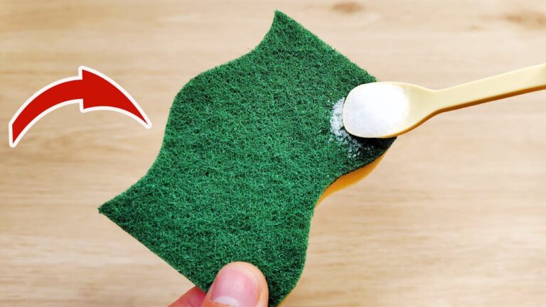 5 astuces incroyables pour réutiliser votre éponge à vaisselle comme jamais avant !
