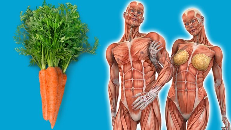 5 bienfaits surprenants des carottes à manger chaque jour pour transformer votre santé !
