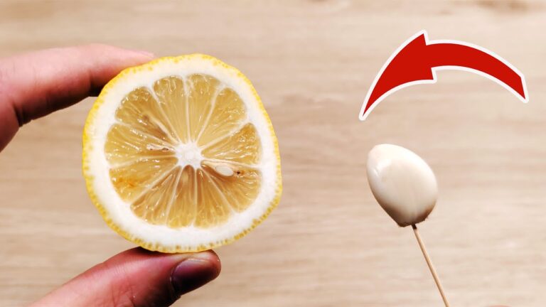 Découvrez 5 astuces incroyables avec ail et citron pour votre quotidien !