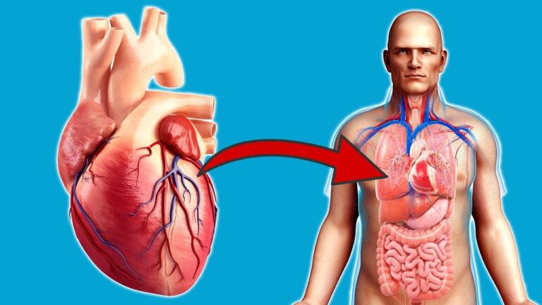 Transformez votre cœur en 30 jours grâce à ces exercices simples et efficaces !