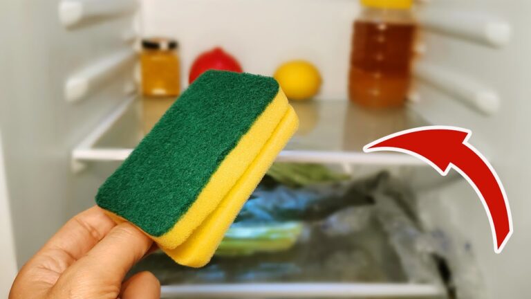 5 raisons de mettre une éponge dans votre frigo pour un nettoyage efficace !