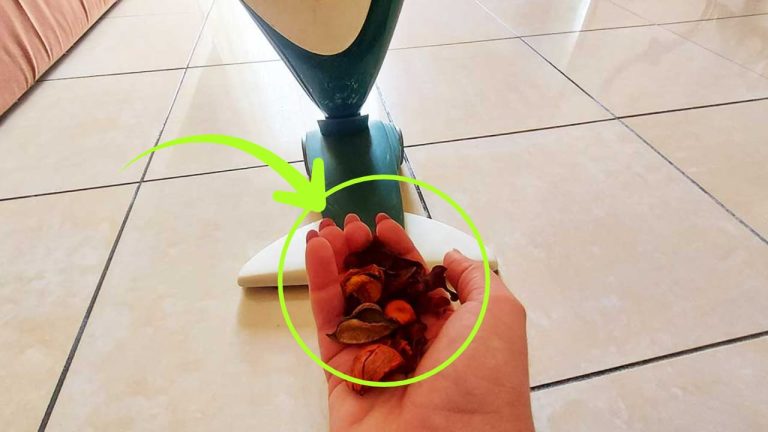 Transformez votre maison avec l&rsquo;aspirateur : un simple geste pour un parfum frais