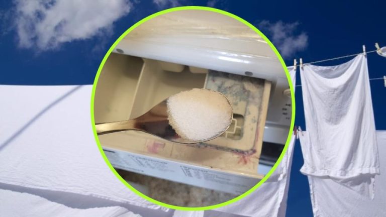 Des astuces pour un linge éclatant sans javel