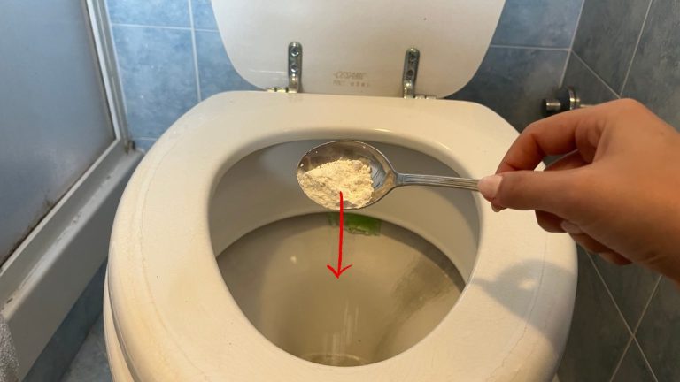 Utiliser de la farine dans les toilettes : l&rsquo;astuce à faire le soir