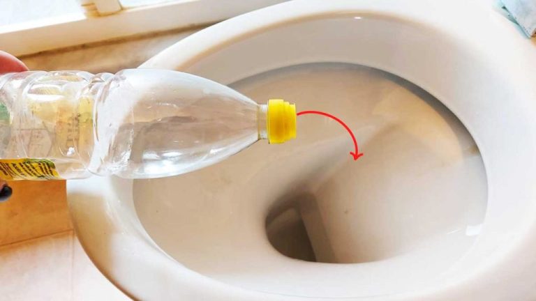 Le vinaigre dans les toilettes : l&rsquo;astuce incontournable contre les mauvaises odeurs