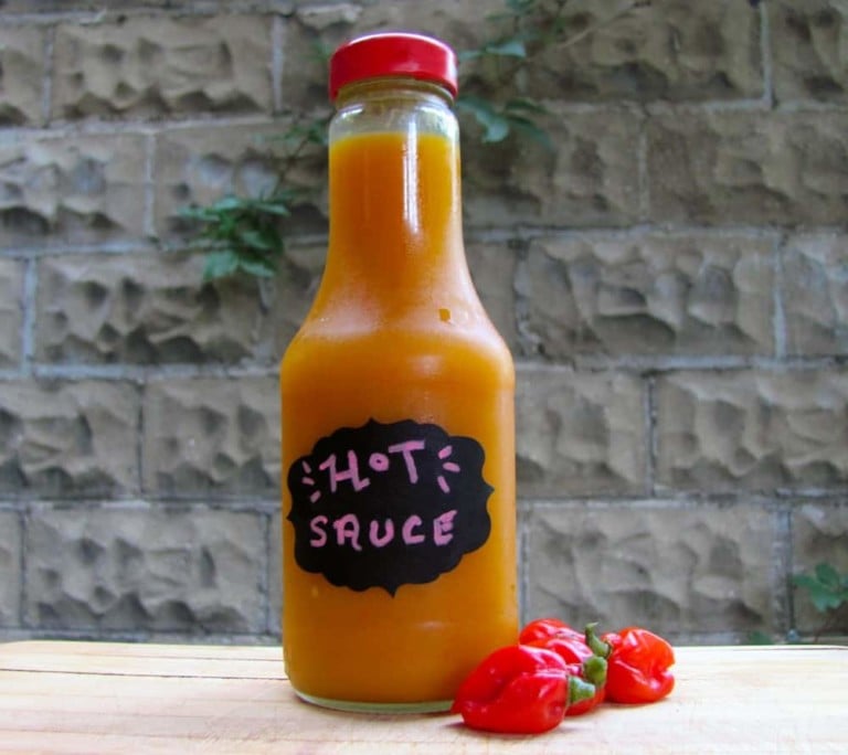 Recette de sauce piquante habanero en 5 ingrédients à tester absolument