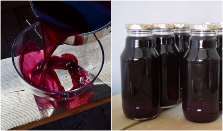 Comment préparer et conserver du jus de raisin sans extracteur