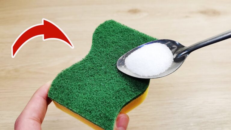 3 astuces pour transformer votre éponge avec ce produit magique à découvrir !