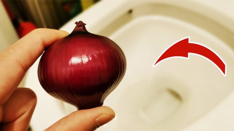 5 astuces incroyables avec des oignons pour transformer votre maison !