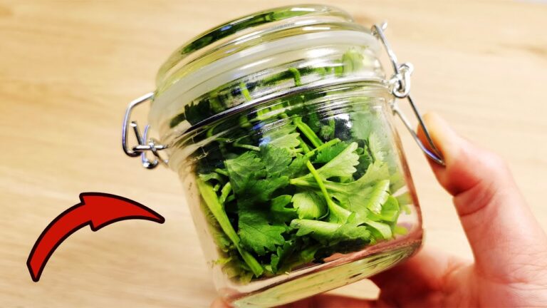 Conserve ton coriandre jusqu&rsquo;à 1 an avec ces 2 astuces faciles !