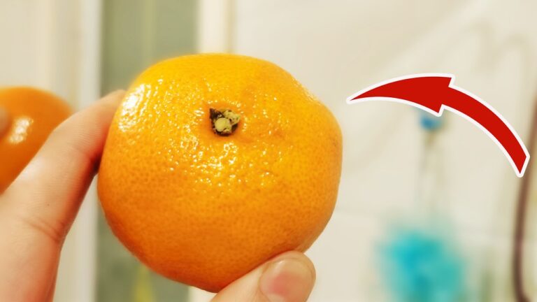 30 astuces surprenantes avec des oranges à découvrir en famille !
