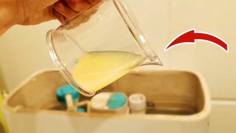 Éliminez 90% des taches de votre toilette avec ce simple ingrédient à essayer aujourd&rsquo;hui !