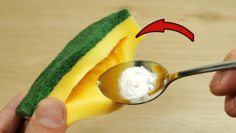 5 astuces surprenantes avec une éponge pour un nettoyage révolutionnaire !