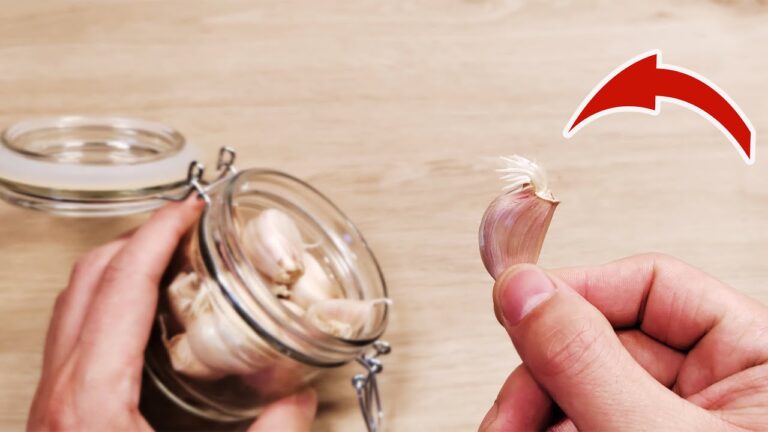 Découvre 5 astuces pour conserver l&rsquo;ail un an sans qu&rsquo;il germe ni se dessèche !