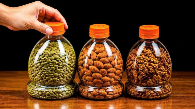 5 idées géniales pour recycler vos bouteilles en plastique et réduire les déchets !