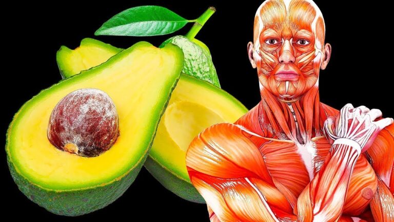 Manger une avocate par jour : 5 bienfaits incroyables pour votre corps !