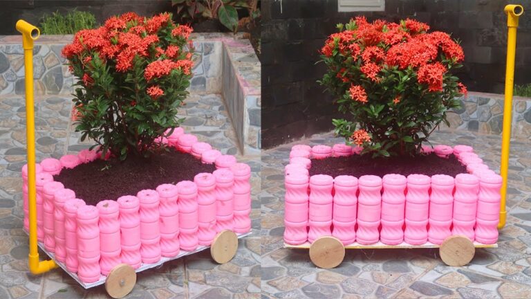5 astuces pour transformer des bouteilles en plastique en jardinières créatives !