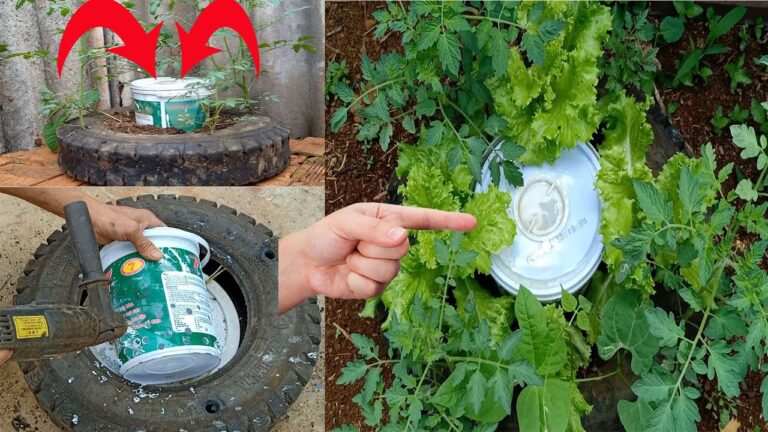 10 astuces pour cultiver des tomates avec des pneus : un jardin écoresponsable !
