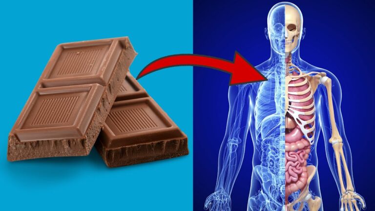 7 effets étonnants de manger du chocolat le soir, découvrez lesquels ! 🍫✨