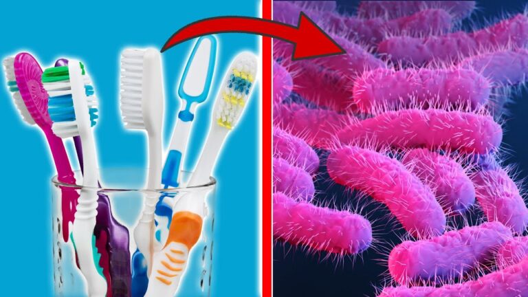 5 astuces pour bien ranger ta brosse à dents et améliorer ton hygiène dentaire
