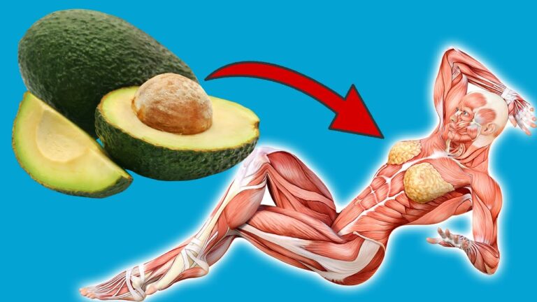 Découvrez 7 bienfaits étonnants de l&rsquo;avocat à manger chaque jour ! 🥑✨