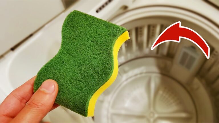 5 astuces surprenantes pour utiliser des éponges au-delà de la vaisselle !