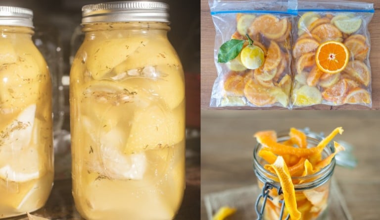 10 astuces pour conserver des citrons frais durablement