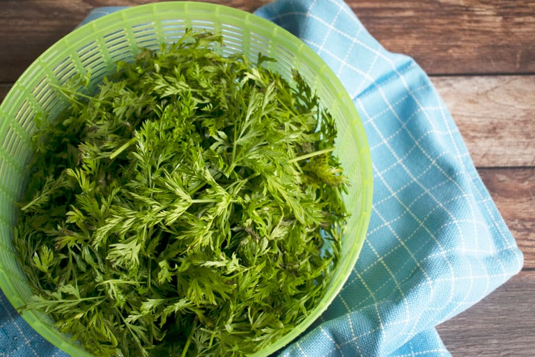 7 façons incroyables de cuisiner les fanes de carottes